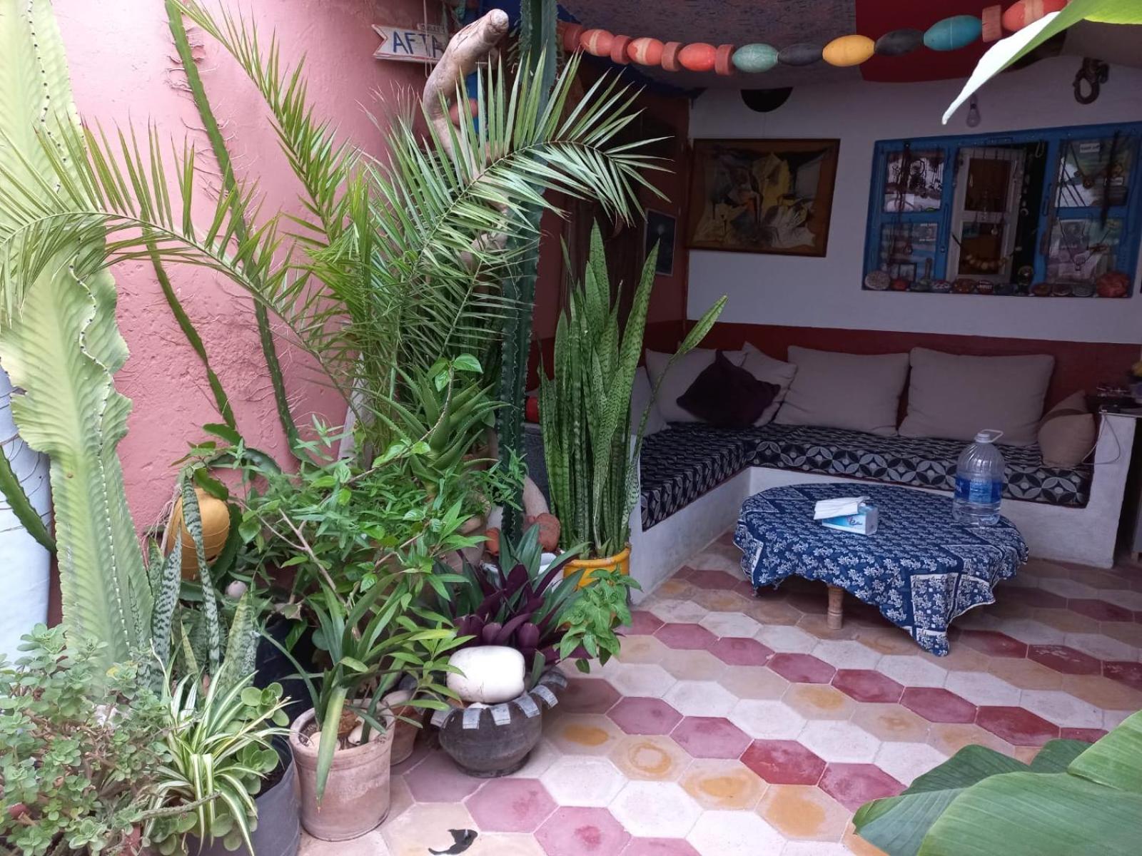 Kasba De L'Artiste Bed and Breakfast Mirleft Εξωτερικό φωτογραφία